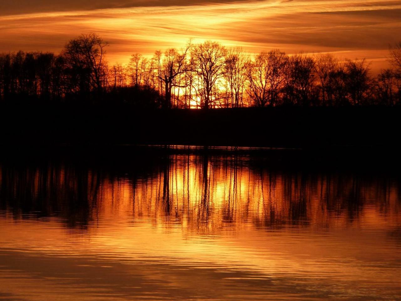 Ferienwohnung Am Duemmer See Dummer Bagian luar foto