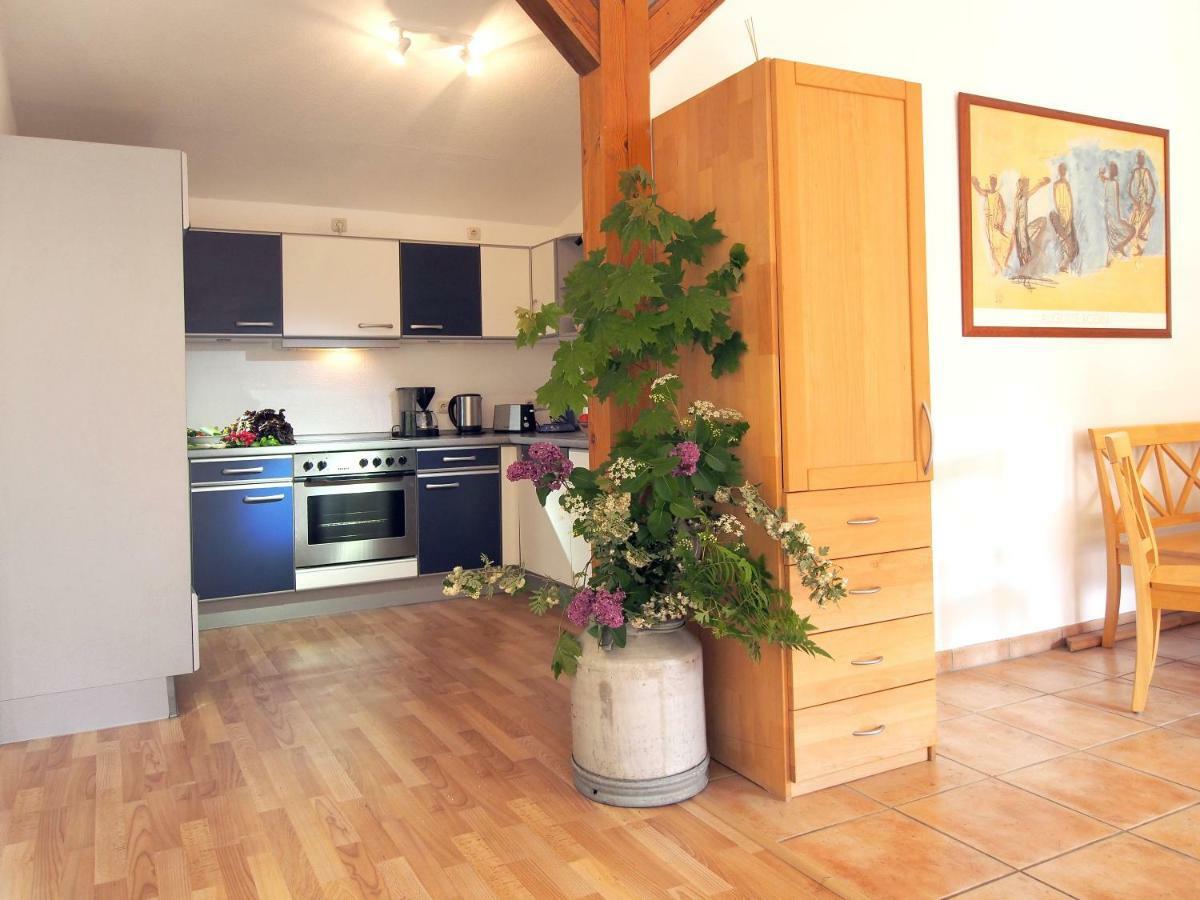 Ferienwohnung Am Duemmer See Dummer Bagian luar foto