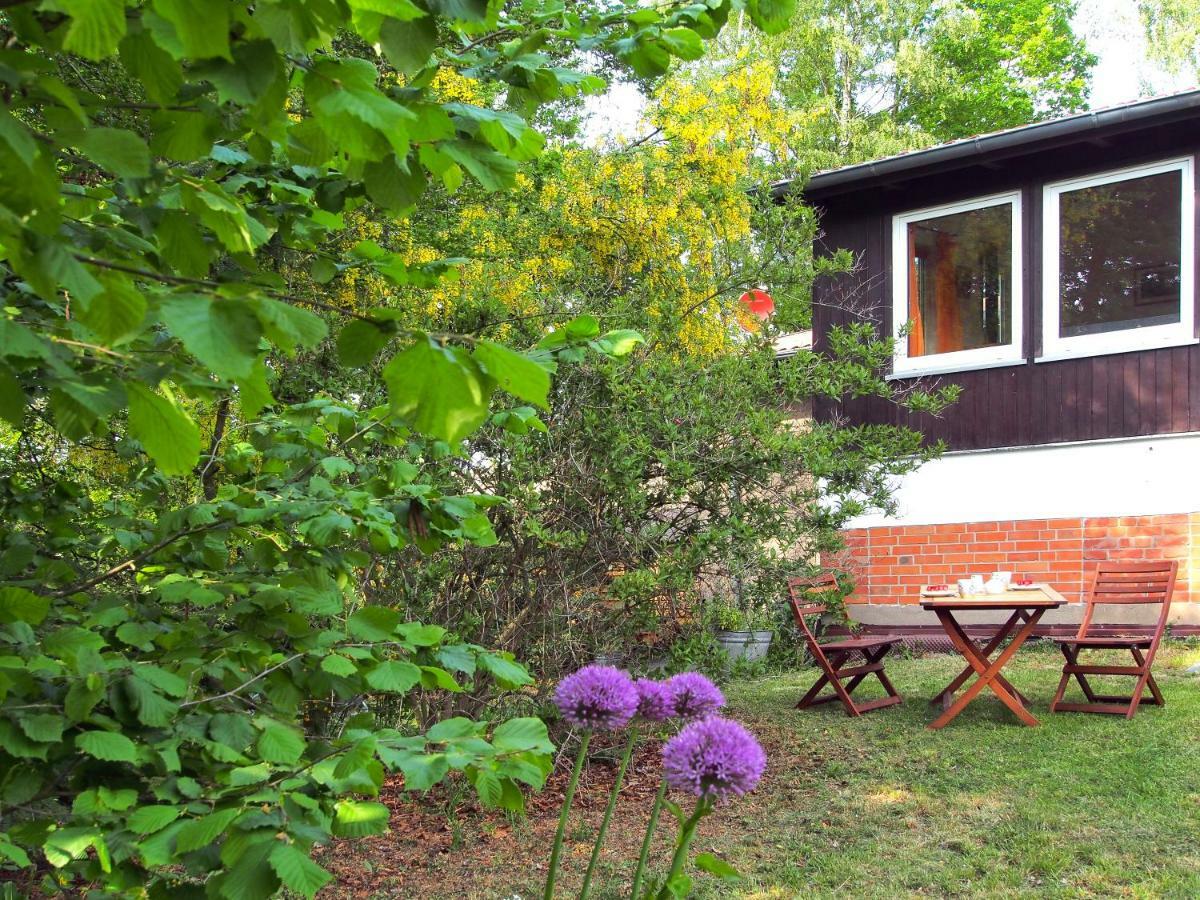 Ferienwohnung Am Duemmer See Dummer Bagian luar foto