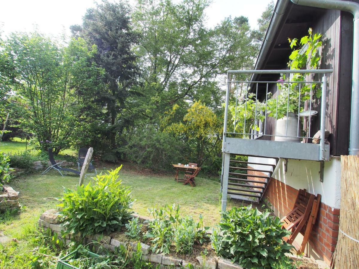 Ferienwohnung Am Duemmer See Dummer Bagian luar foto