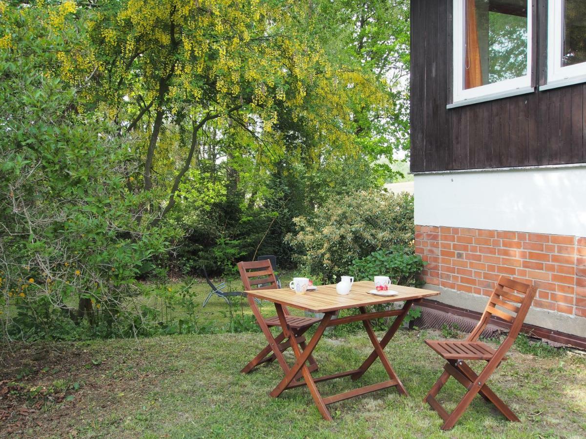 Ferienwohnung Am Duemmer See Dummer Bagian luar foto